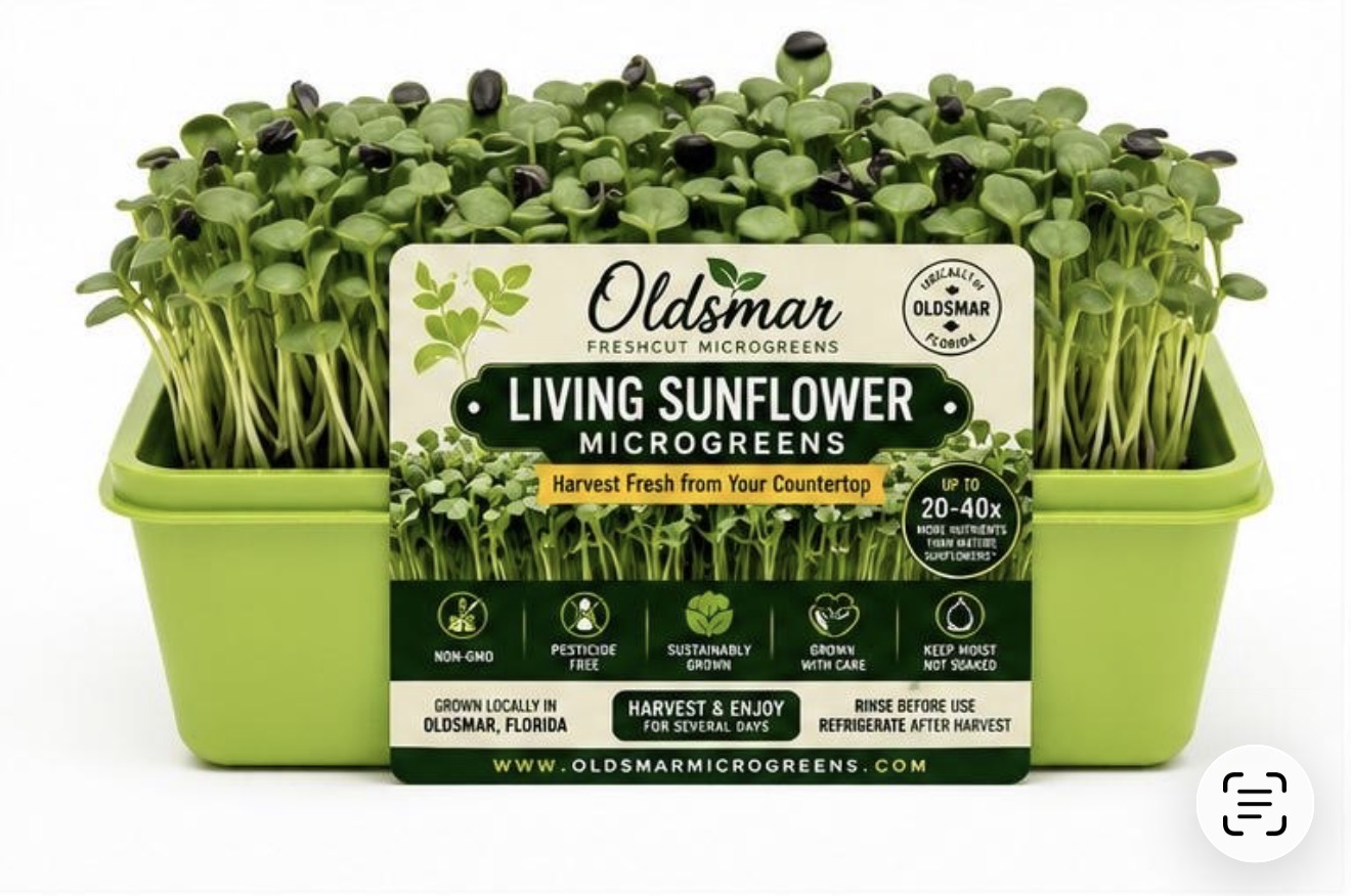 Living Sunflower Microgreens