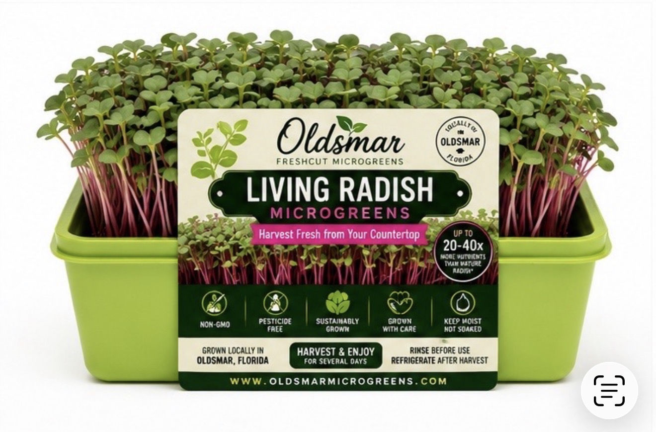 Living Radish Microgreens