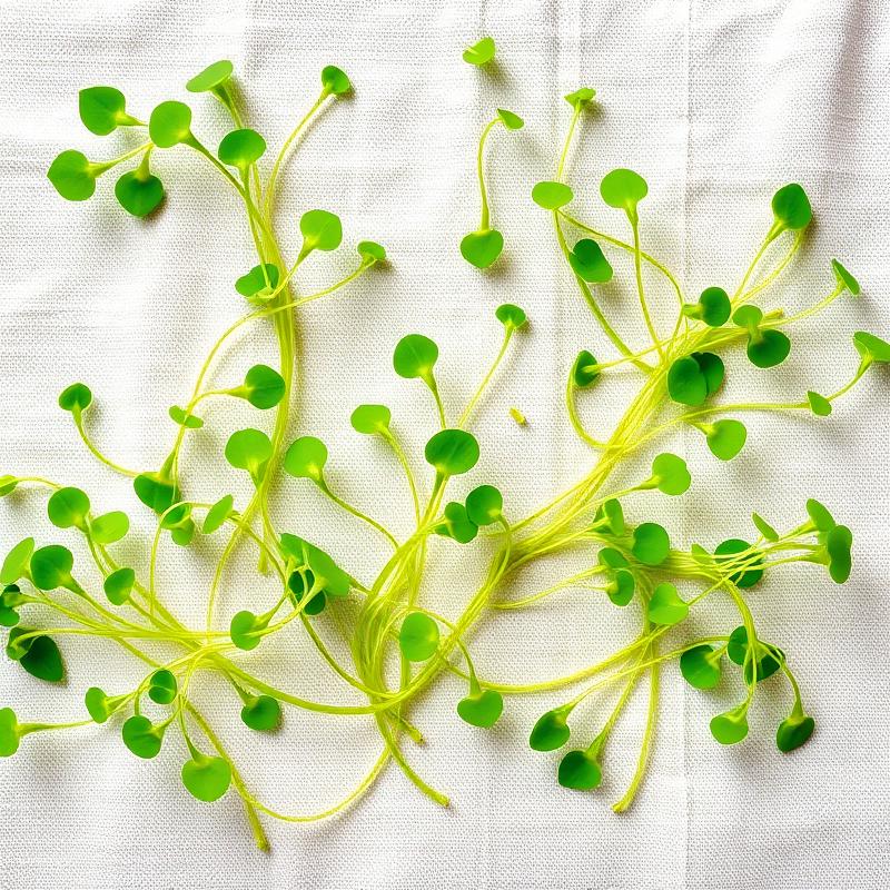Pea Shoots