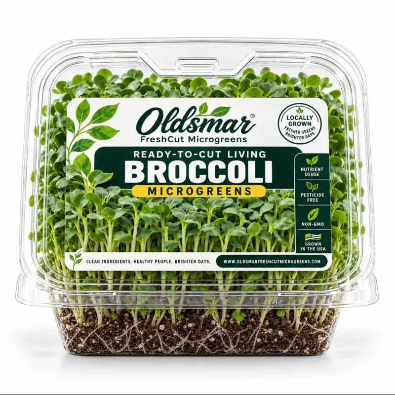 Ready-to-Cut Broccoli Microgreens